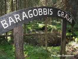 Baragobbis grävä